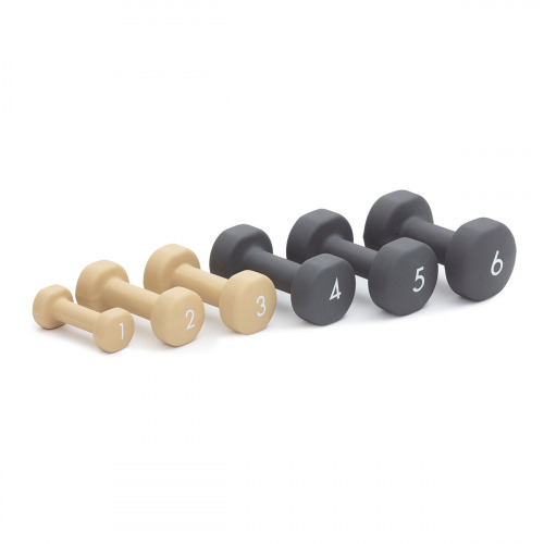 Abilica DumbBells