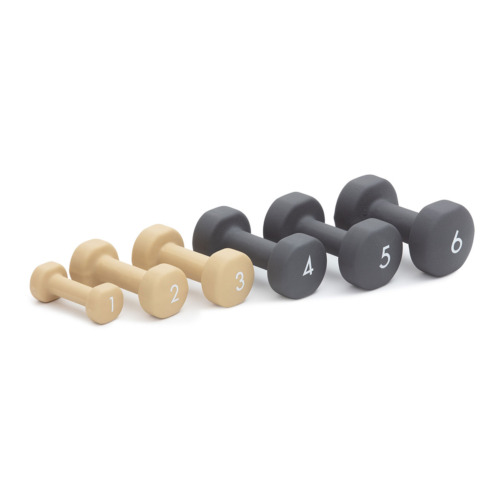 Abilica DumbBells